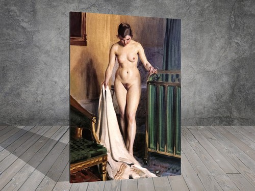 Anders zorn camera - da, letto
